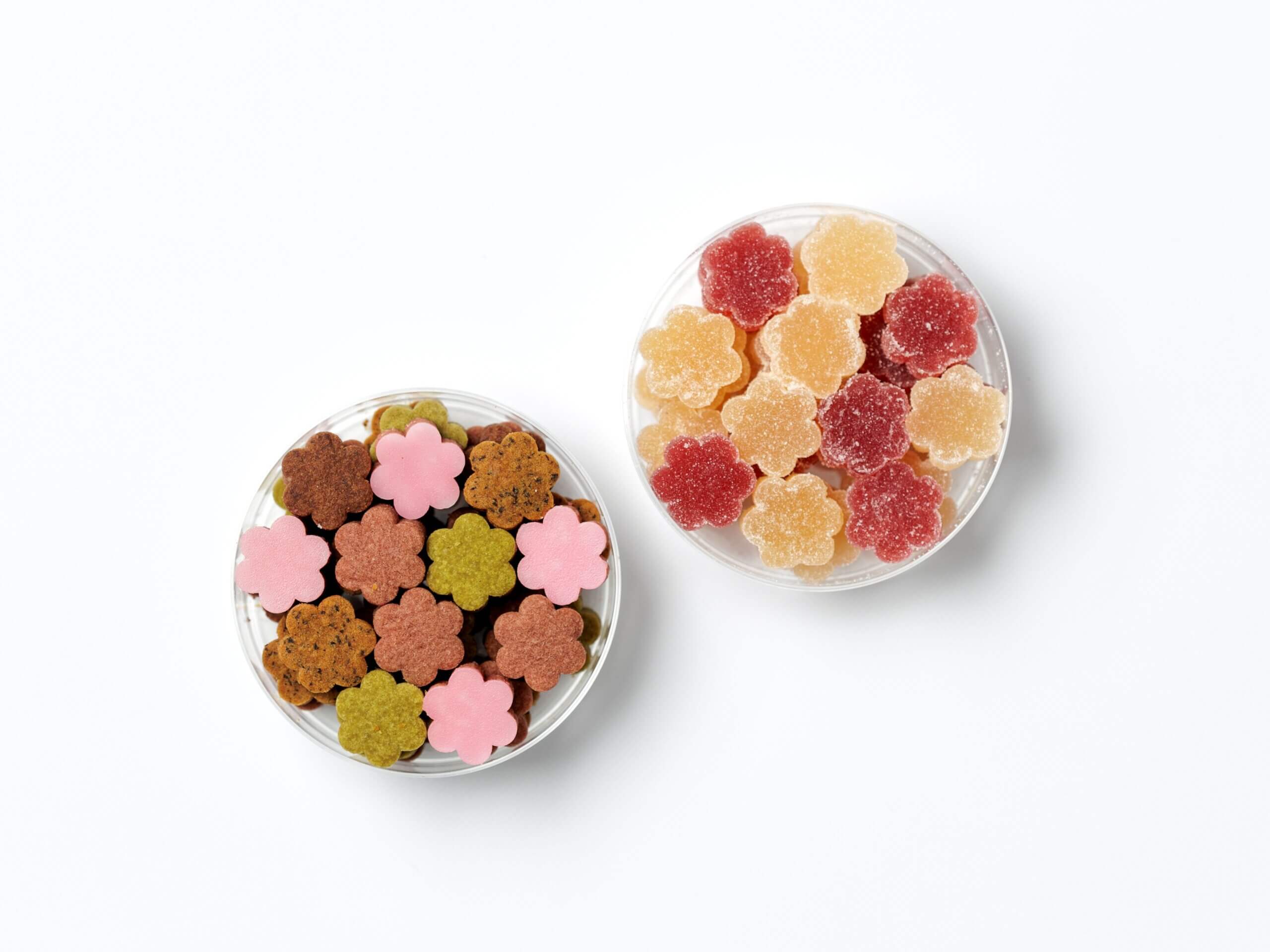 【RAU・Sachi Takagi】2026ホワイトデー