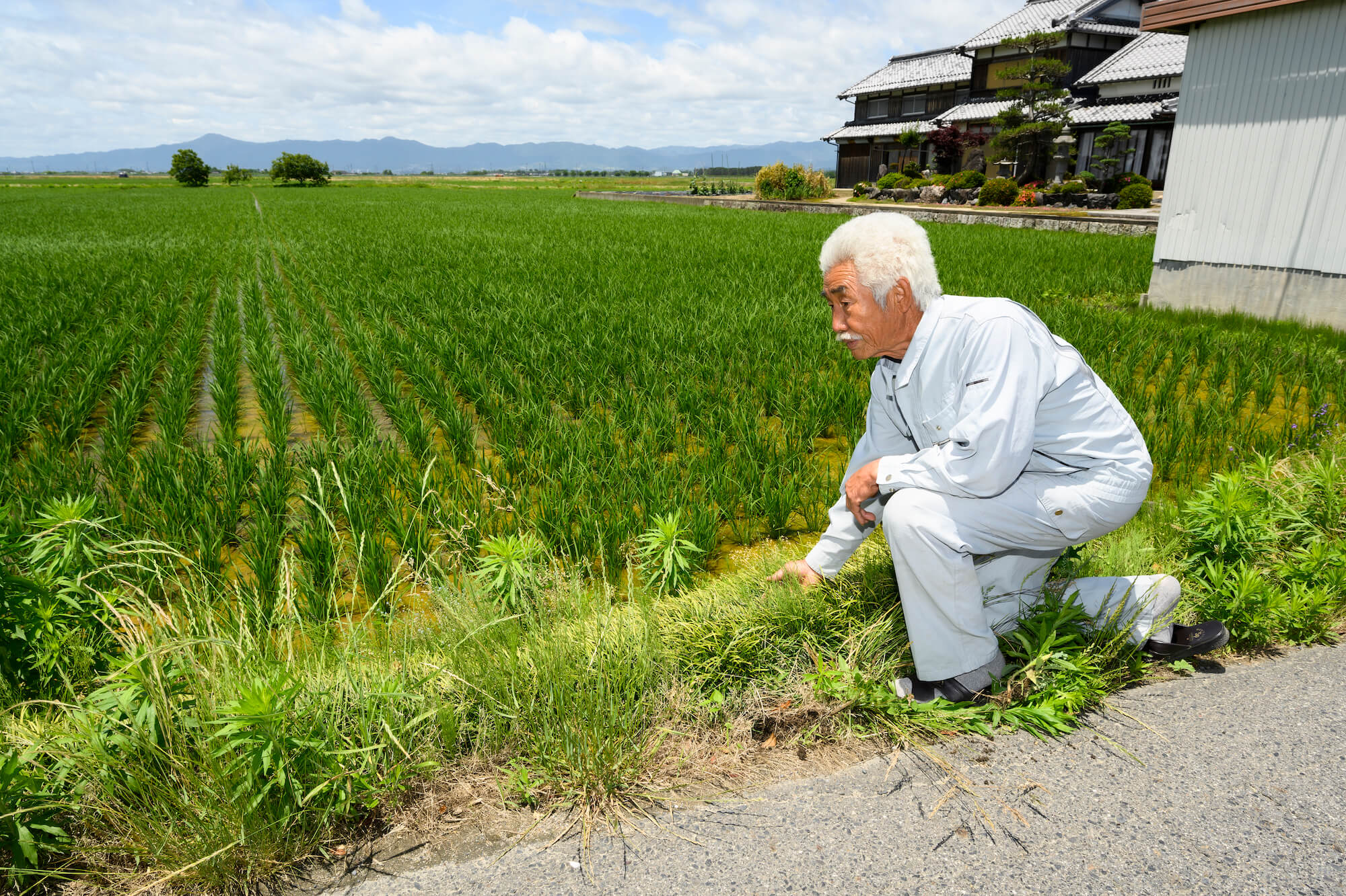 食品ロスを使った堆肥で 安心 安全な農業と循環型社会の実現を目指す ジャーナル Good Nature Station