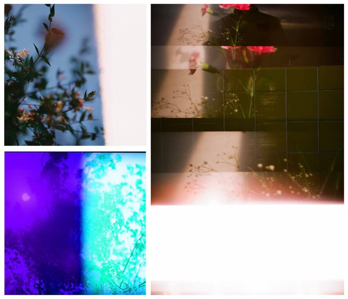 ＜KG+2026＞鷹巣 由佳『Re-membering the Temporal Fragments：時間の破片を繋ぎなおす』[4/18 – 5/17]