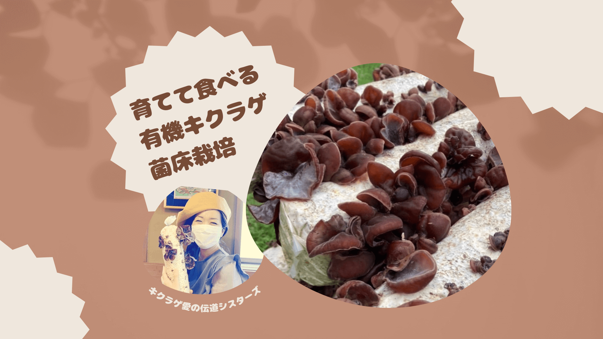 キクラゲ愛の伝道シスターズ「育てて食べる有機キクラゲ菌床栽培」