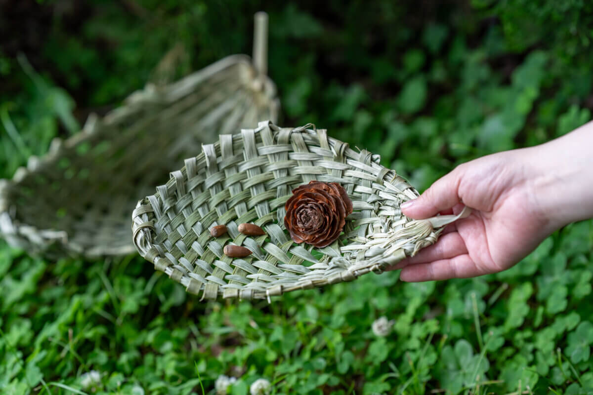 植物園のヤシの葉で編む「小さなかご作り」