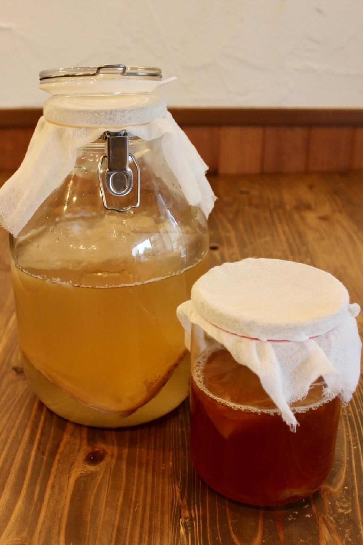 【満員御礼】発酵食堂カモシカによる夏の飲む発酵講座~台所にコンブチャ常備のススメ~《7月14日》 【満員御礼】発酵食堂カモシカによる夏の飲む発酵講座~台所にコンブチャ常備のススメ~《7月14日》