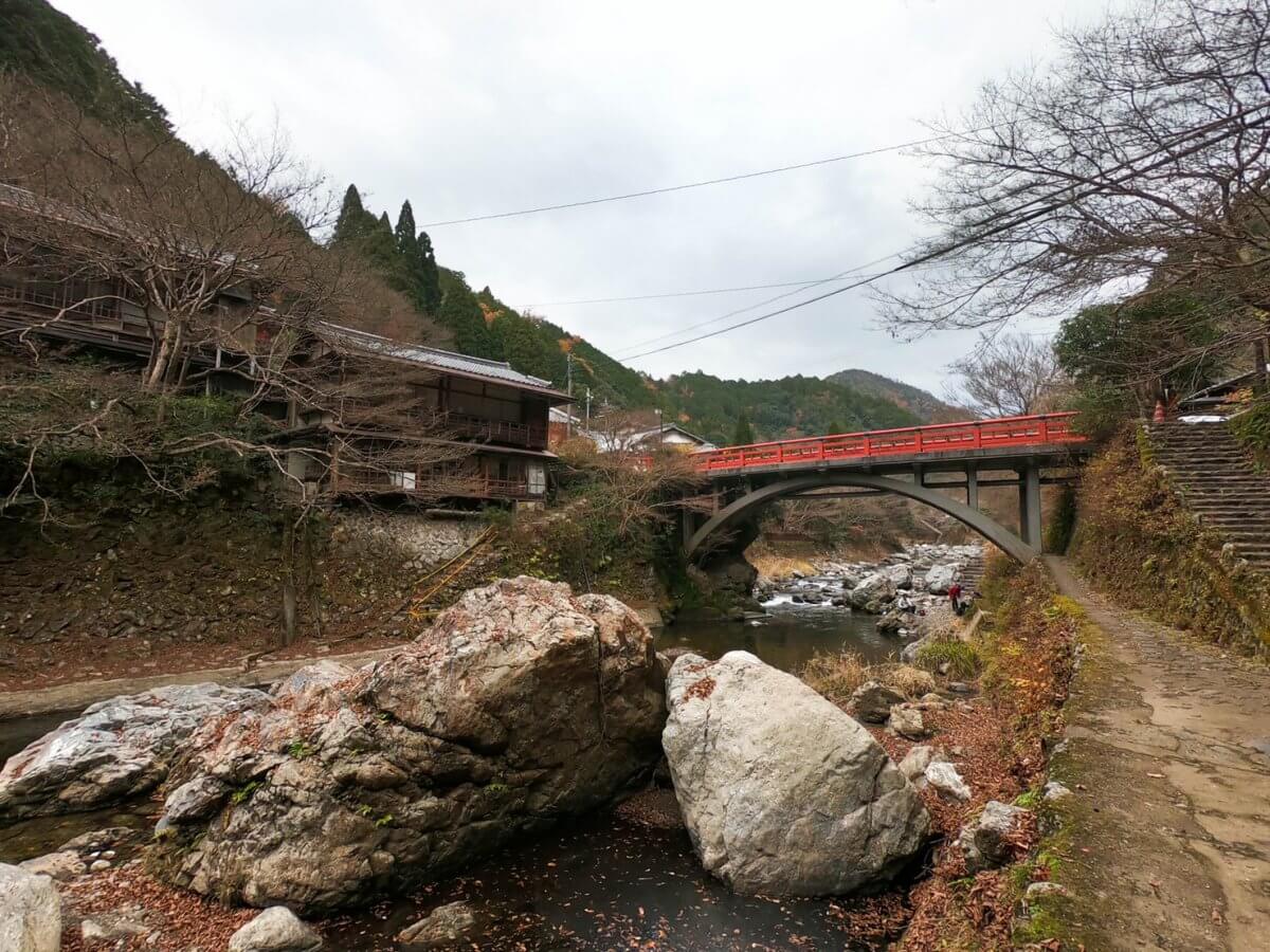 [NATURE TOUR] Around Kyoto Trail: ⑨ JR &quot;Hozukyo&quot; Station-Moss Temple