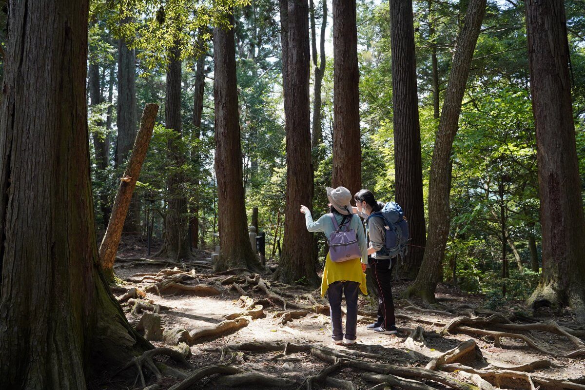 [NATURE TOUR] Around Kyoto Trail: ⑥ Ohara-Kifune